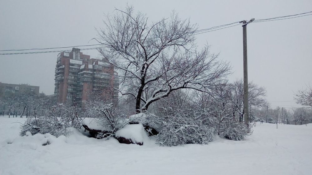 Заснежило