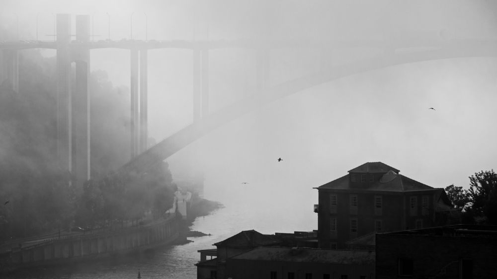 Fog in Porto
