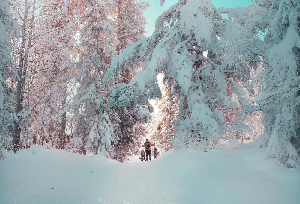 Фотография автора Anna NovaLova