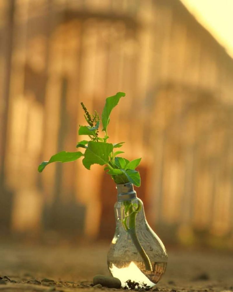 Photograph by Rav Singh