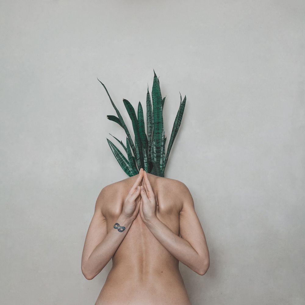 Образ мысли