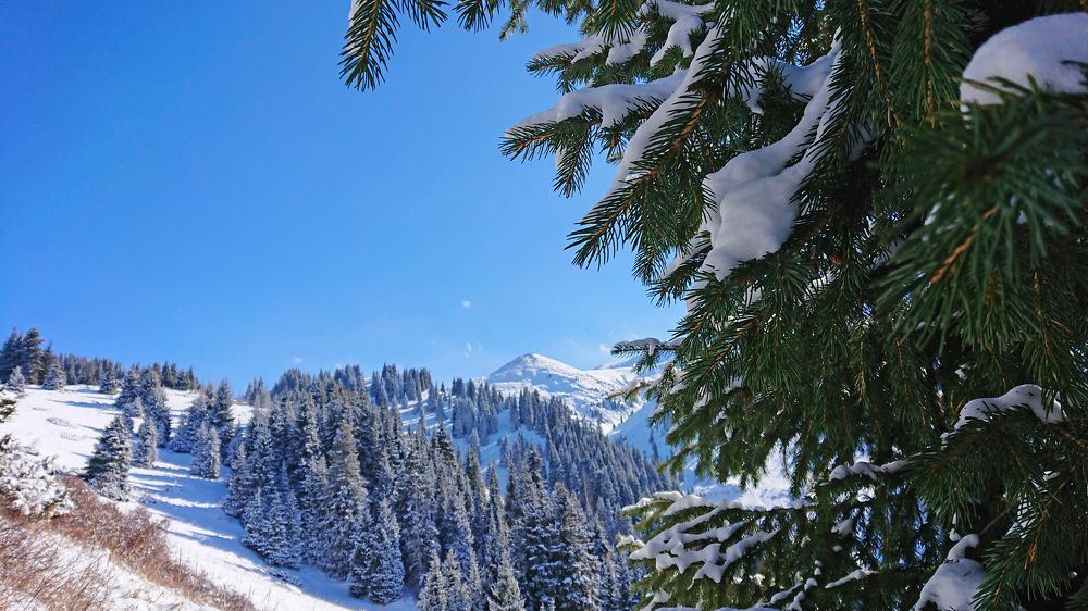 Зимняя сказка в горах