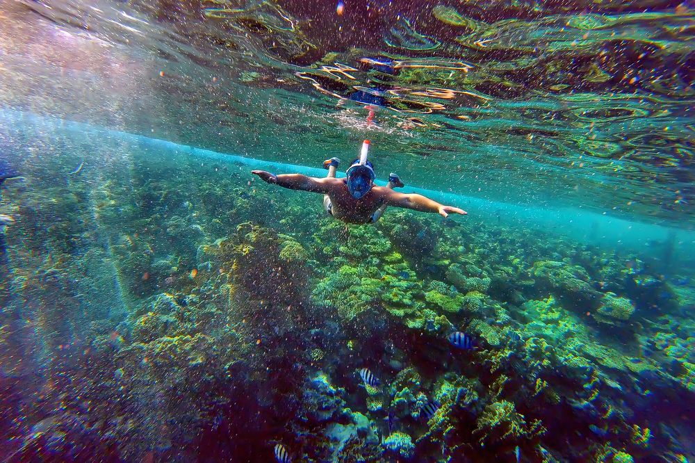 Человек акула