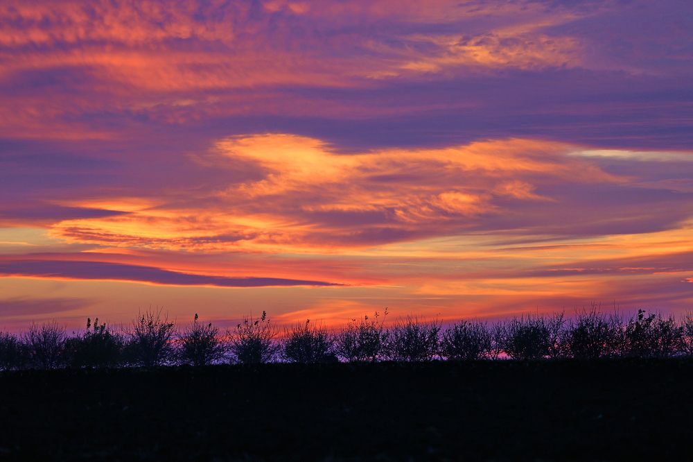 Ангел нас бережет