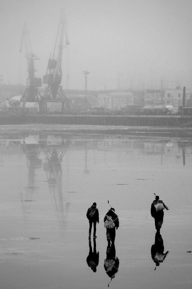 «Дон Кихоты»