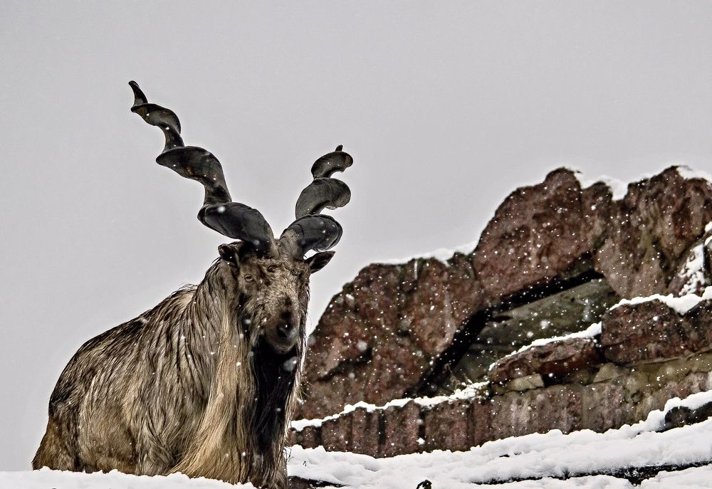 Photograph by Сергей Басов