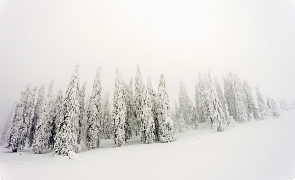 Winter time on Apuseni Mountains