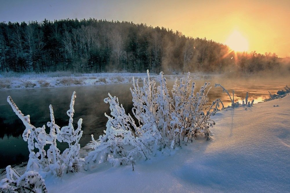 Морозные берега