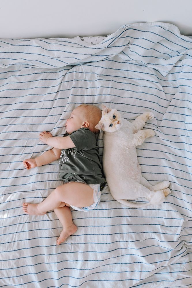 Хранитель снов