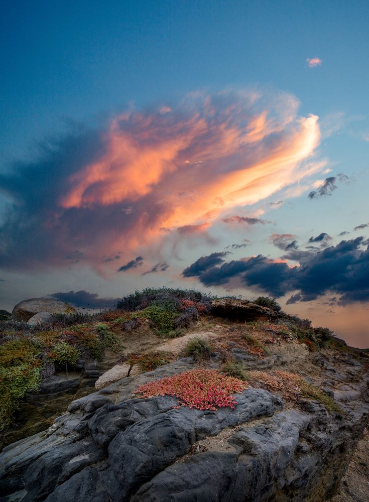 Жизнь на скалах