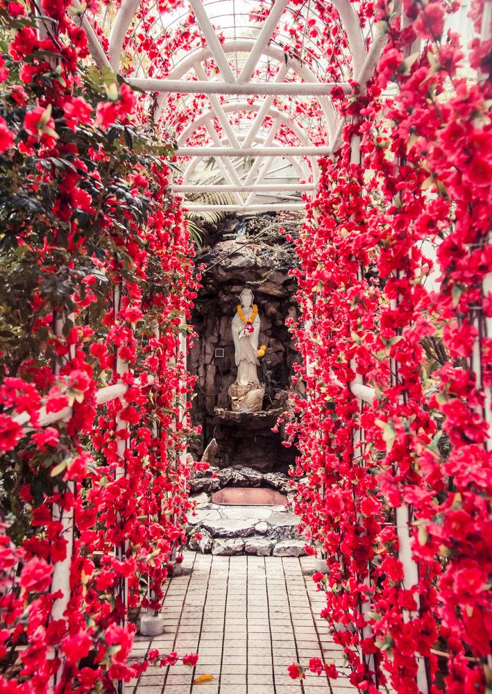 Photograph by Diana Ajimirova