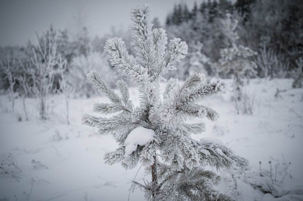 Зима на Кунгурских просторах