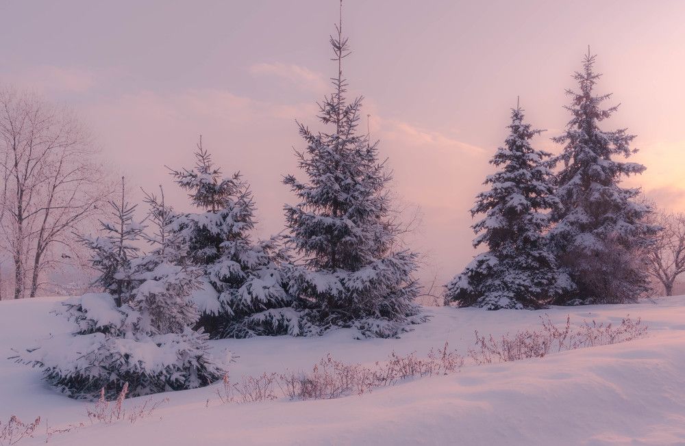 В зимнем наряде