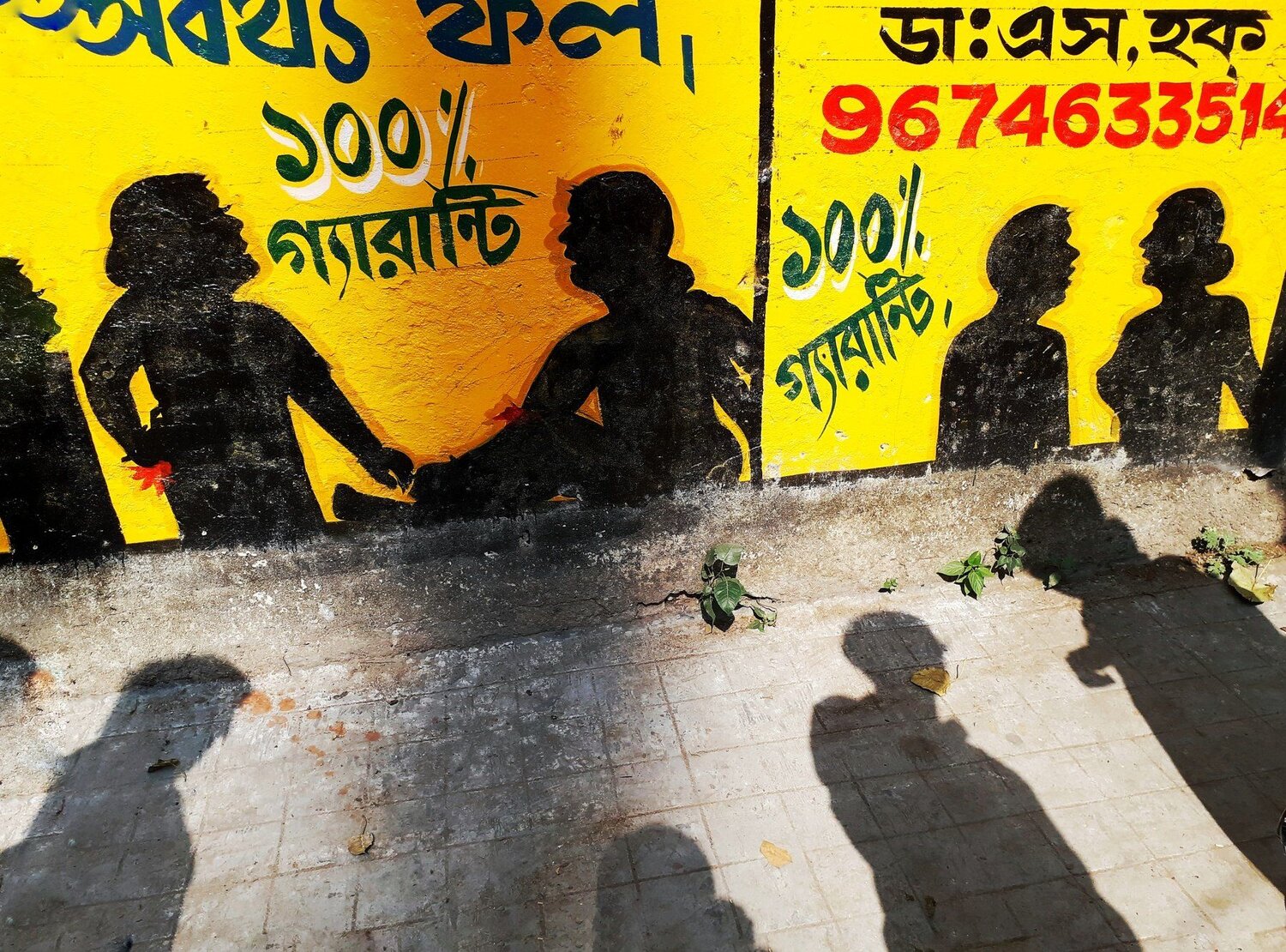 Shadow life