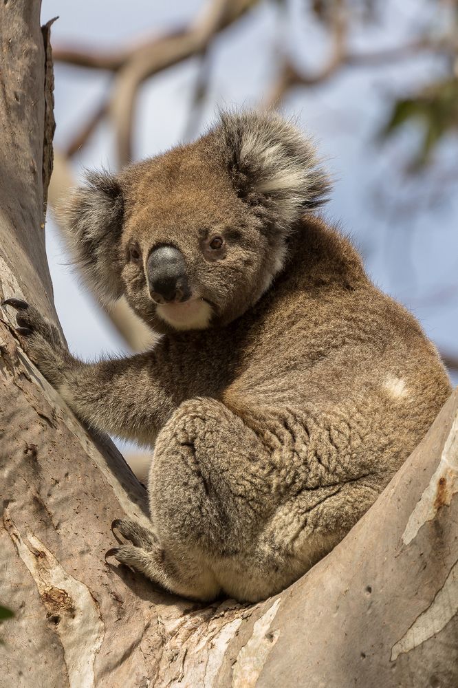 Photograph by Алена Ерошкина