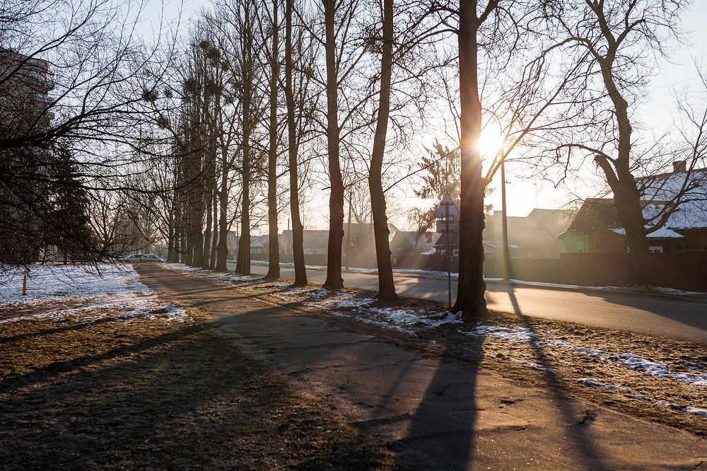 Зимний рассвет