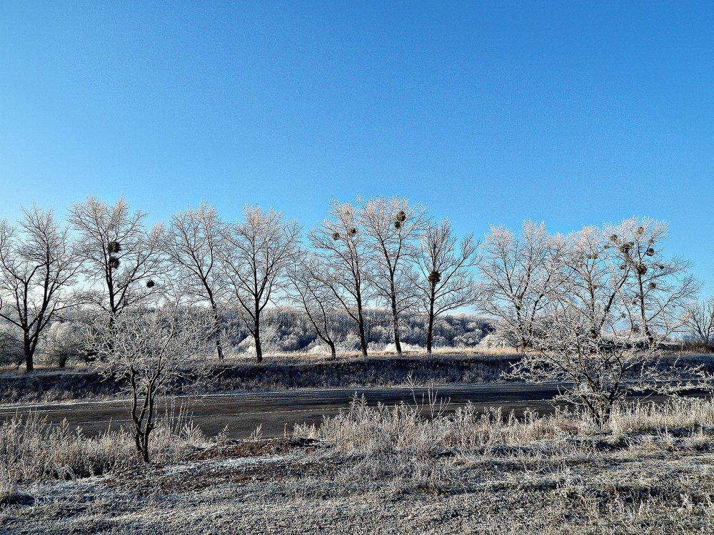 Фотография автора Stanislav Kompaniiets