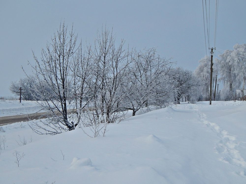 Фотография автора Stanislav Kompaniiets