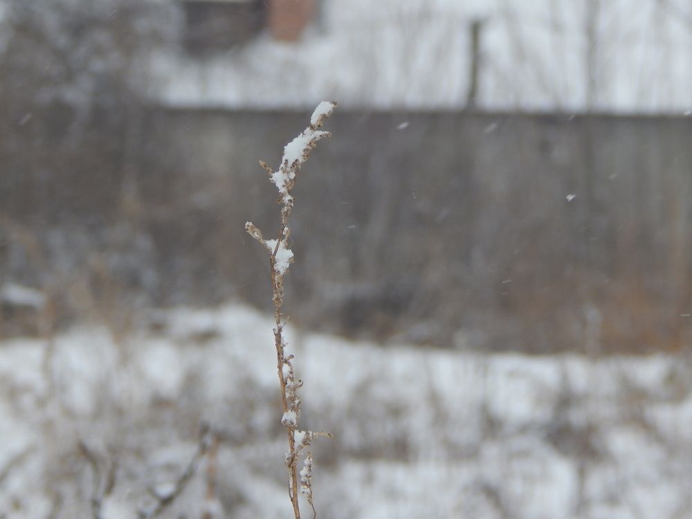 Фотография автора Станислав Компаниец