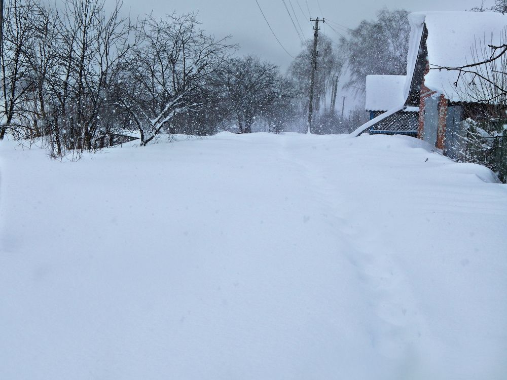 Фотография автора Станислав Компаниец