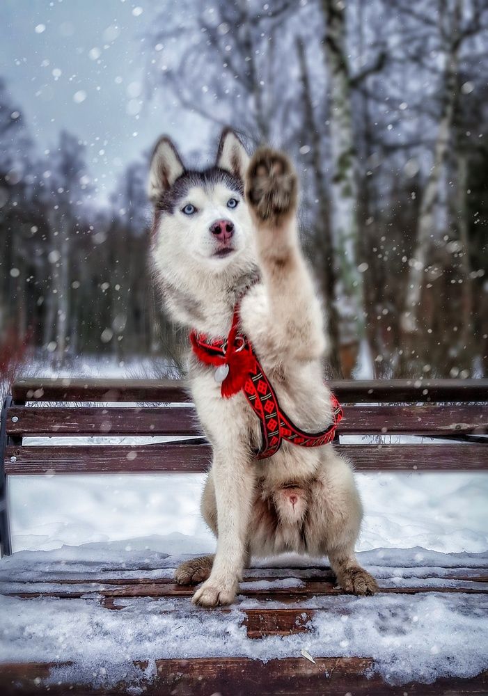Фотография автора Мария Яропольская