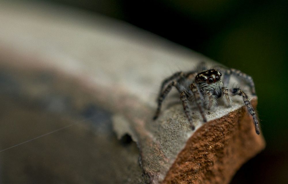 Photograph by Геннадий Симонов