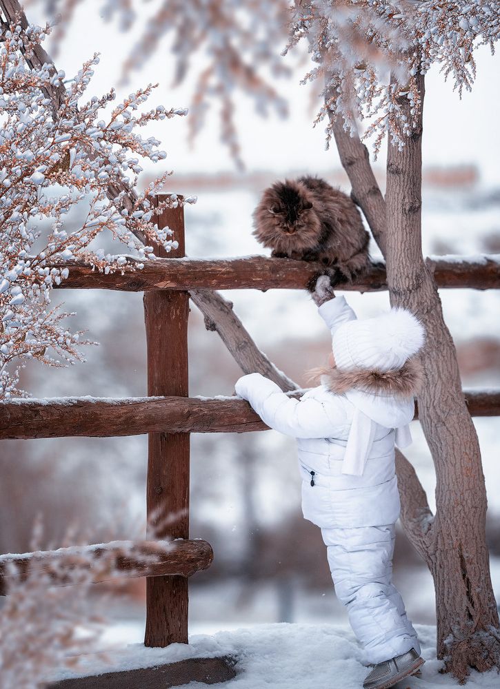 Кот Базилио.