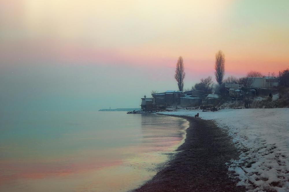 Photograph by Галина Ледок