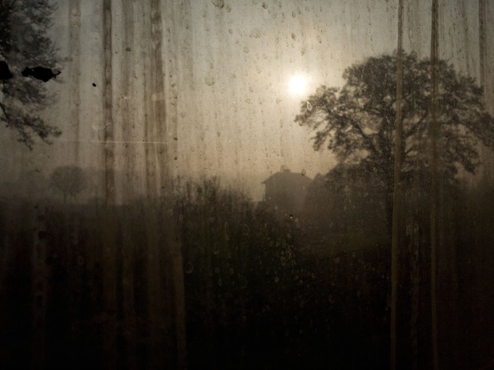At dawn to work
