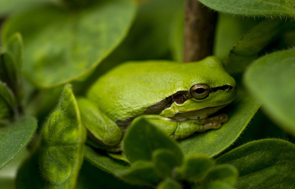 Photograph by Геннадий Симонов