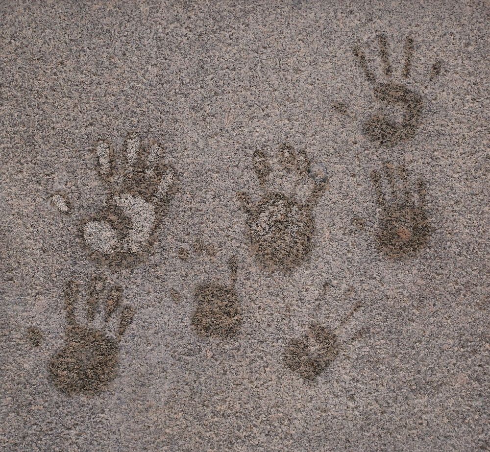 Следы на инее