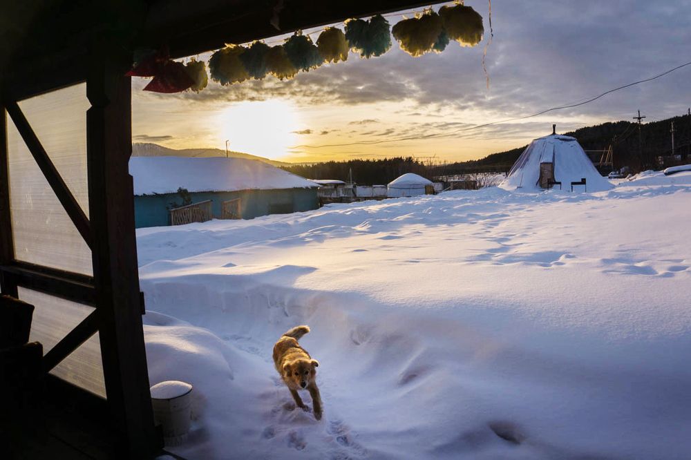 Photograph by Щербакова Галина