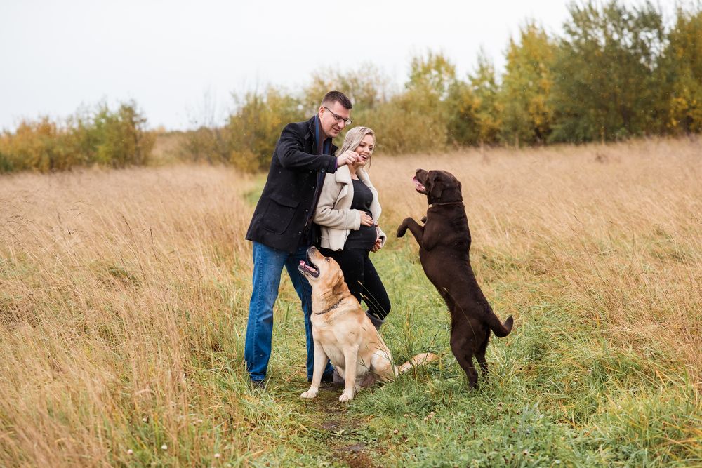 Счастье быть вместе
