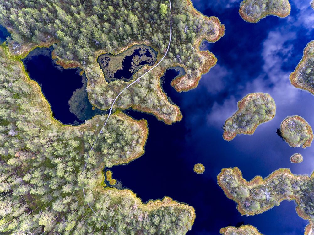 Põhja-Kõrvemaa Nature Reserve. Estonia.
