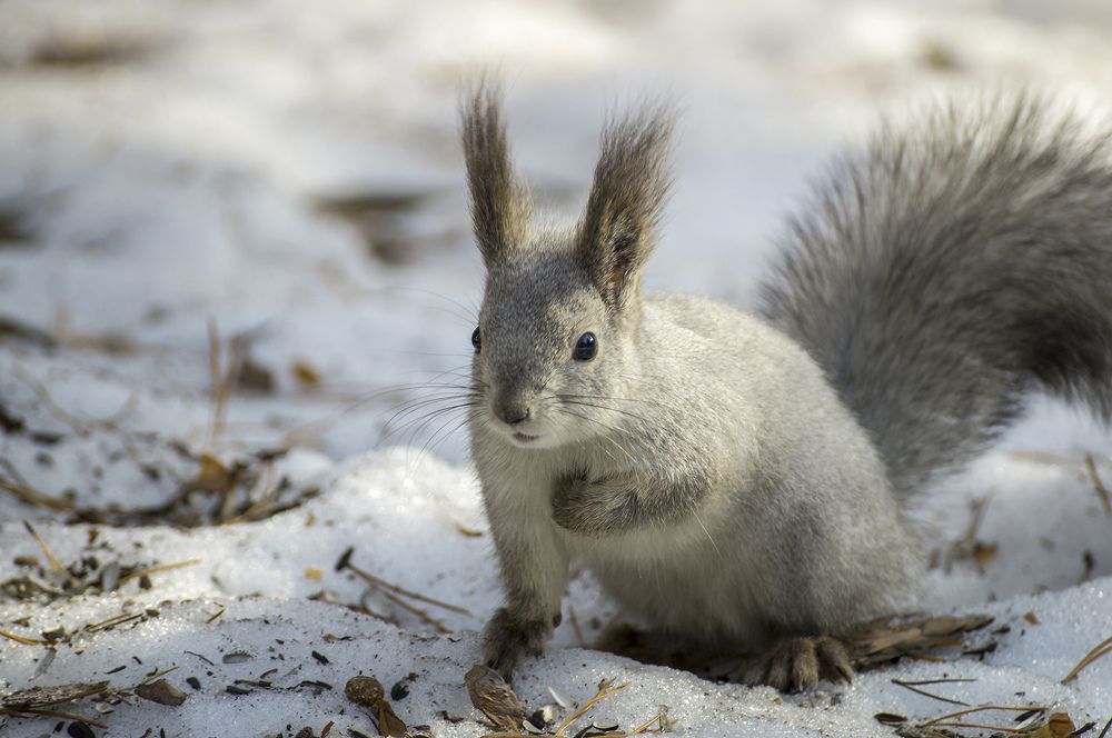 Photograph by Виктор Петров