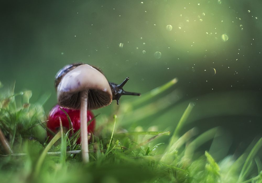 Photograph by Ксения Орлова