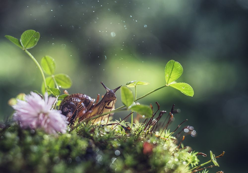 Photograph by Ксения Орлова