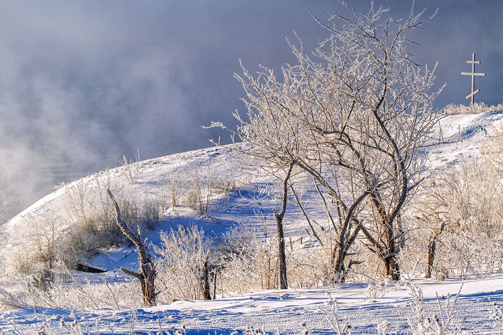 морозный денёк