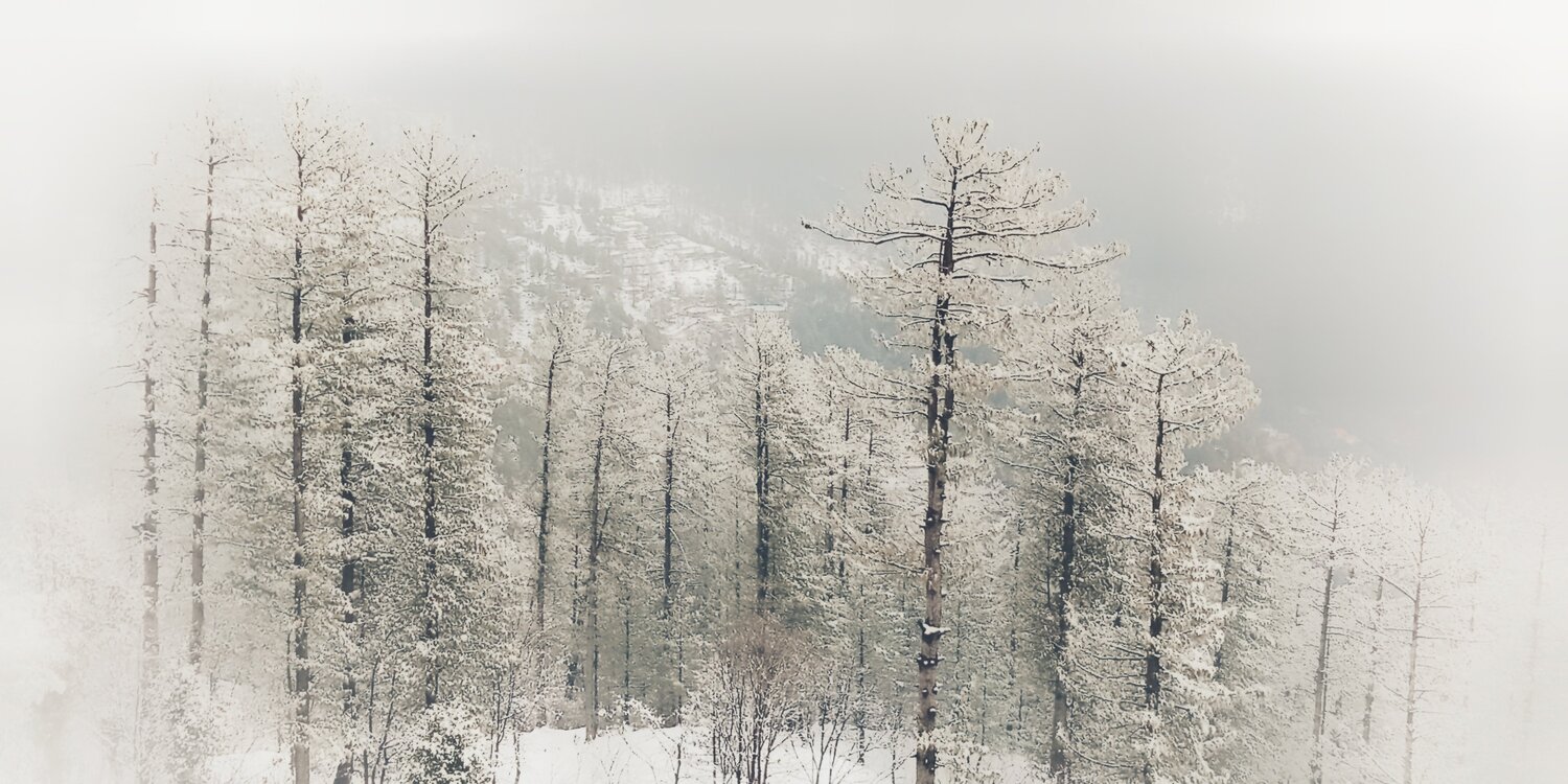 Frost-bearer