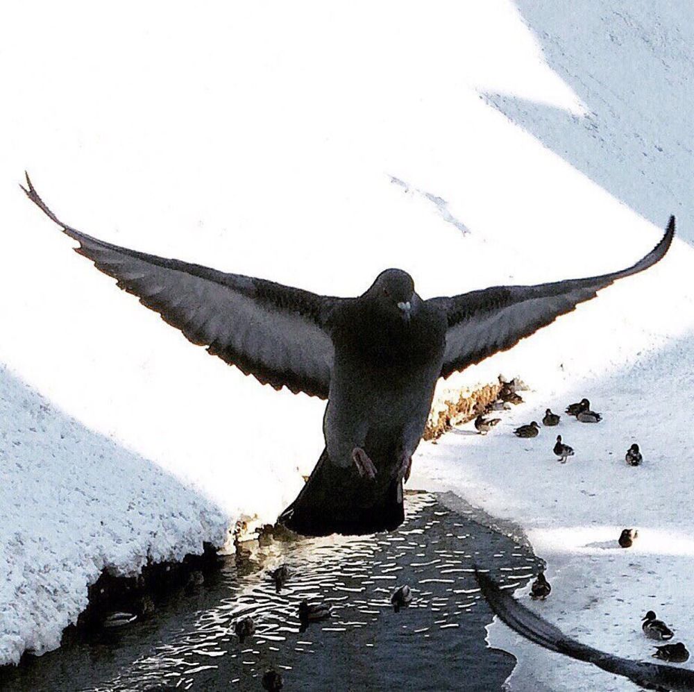 Photograph by Татев Саргсяе