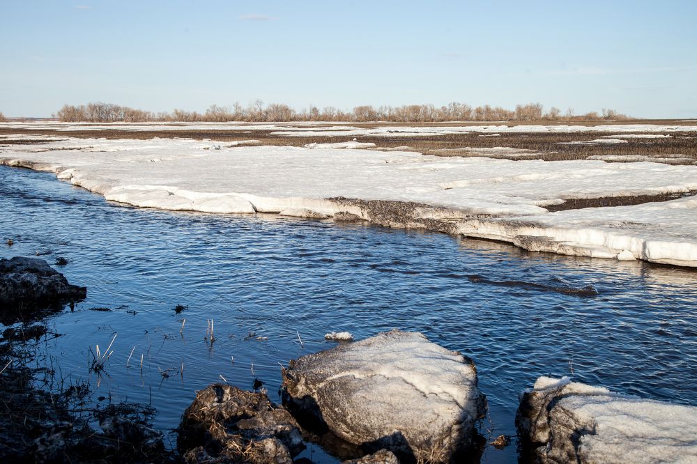 Photograph by Алёна Останкова