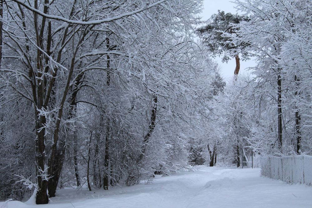 Photograph by Проскура Артём