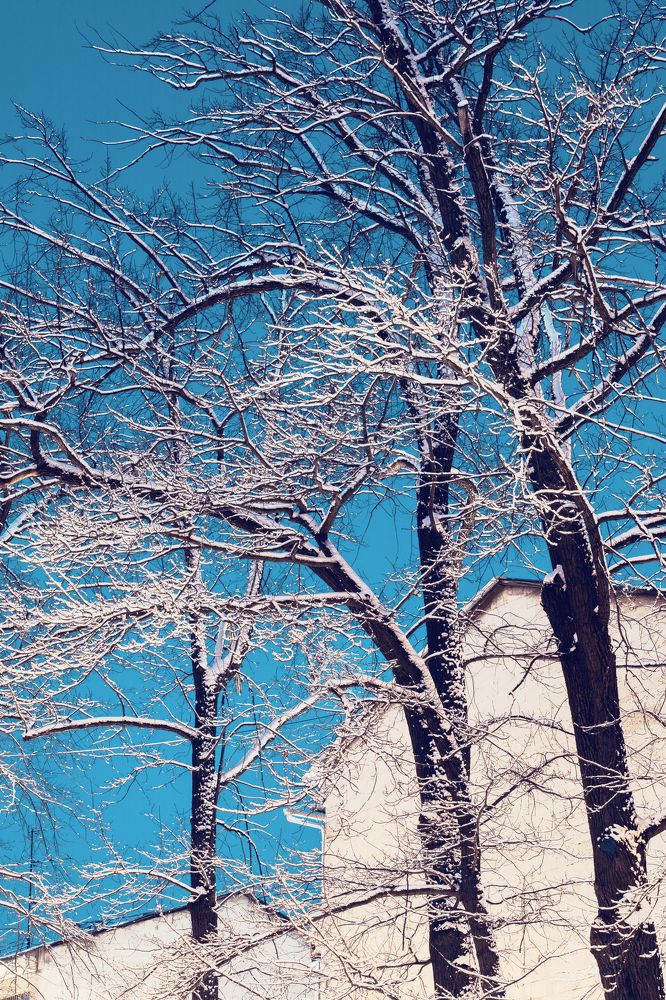 Европейская Азия