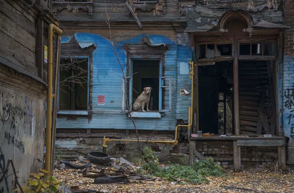 горьковская