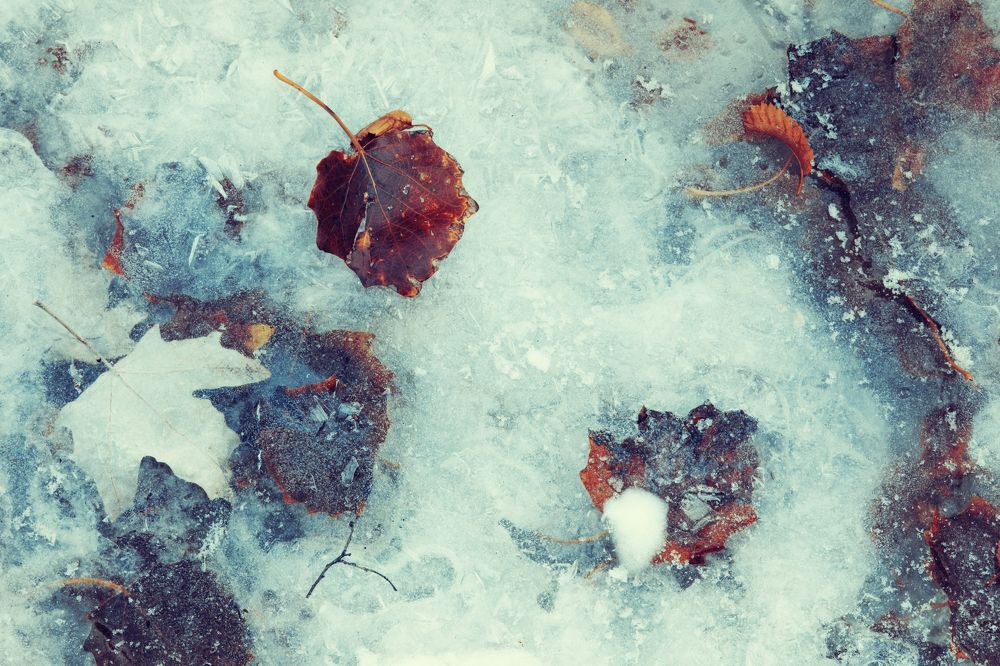 Неунывающий