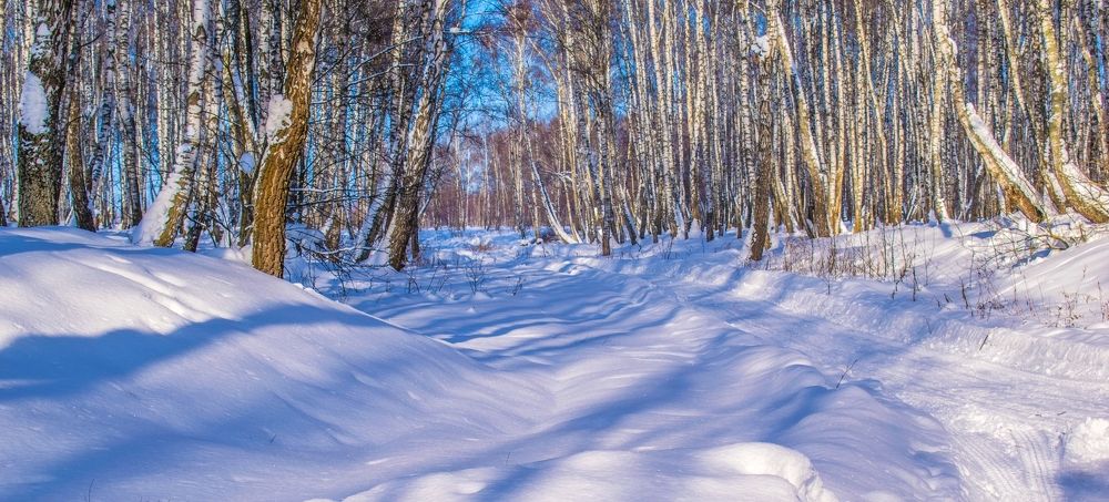 Зимняя дорога