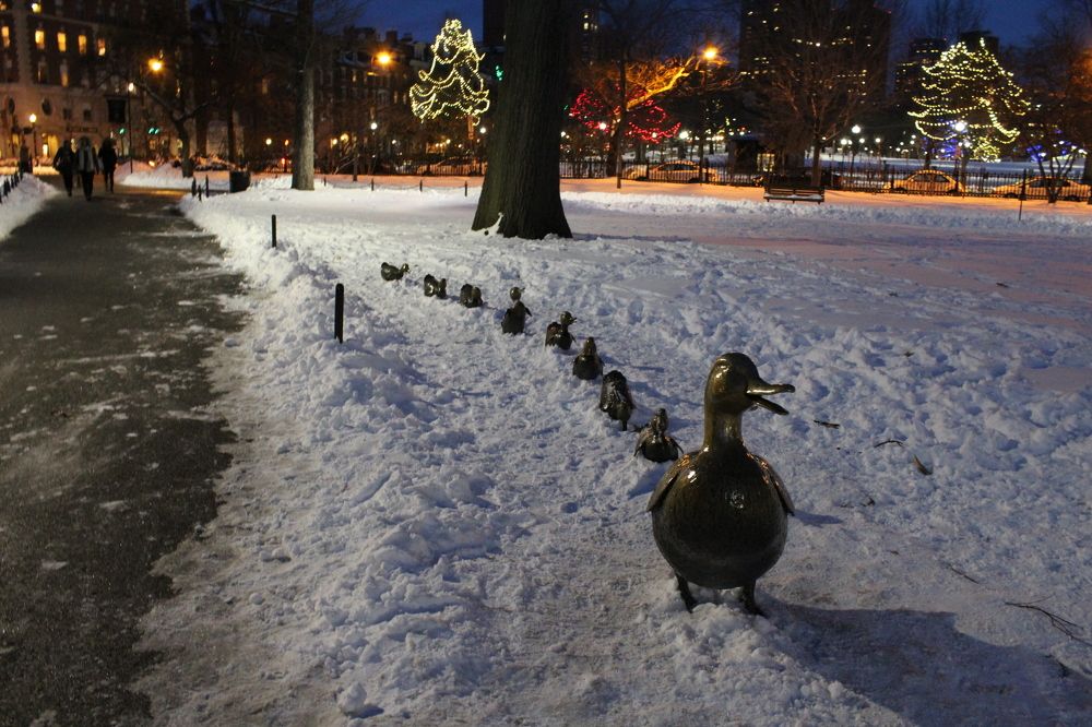 Make Way for Ducklings