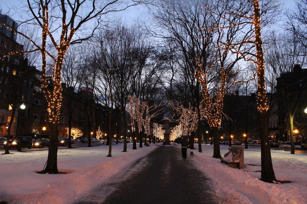Winter Wonderland