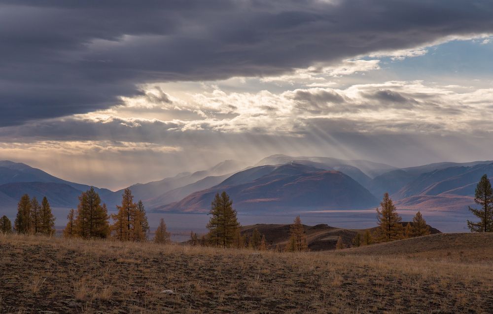 Курайский рассвет