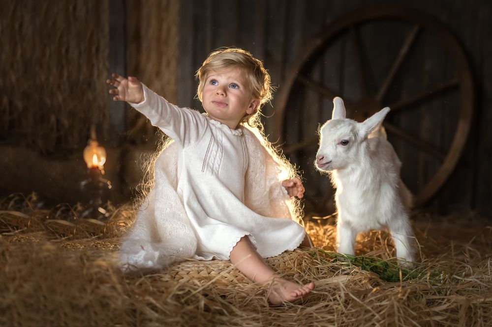 Photograph by Марина Порунова